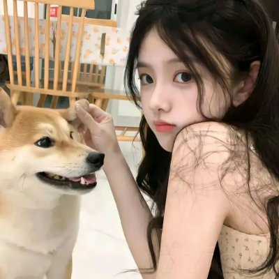 白宫也疯狂